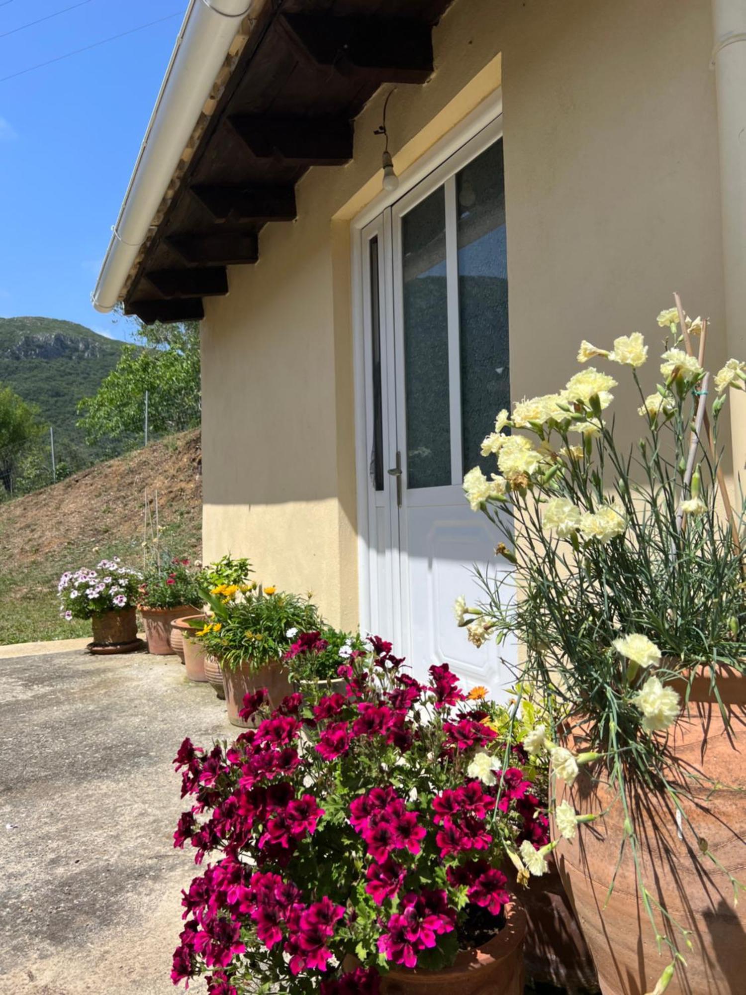 Villa Alexakis Doukades Exterior photo